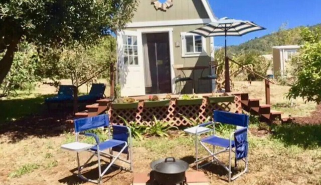 "Tiny Home Living on Exotic Family Fruit Farm"