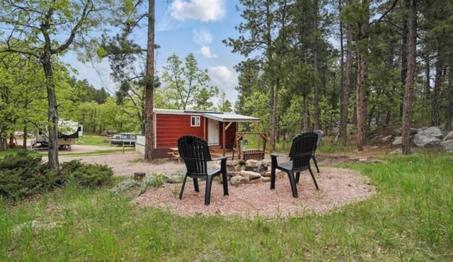 Tiny Home Near Mt Rushmore