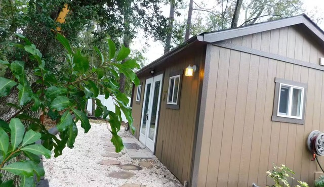 Tiny Home on The Creek with AC in Clearwater, FL