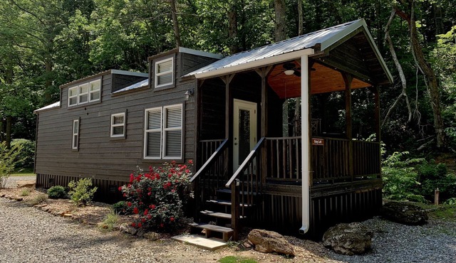 Tiny home only 1 mile from Vogel State Park! The Gray Loft Reece Farm Village