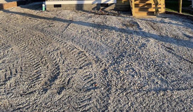 Tiny home with a cabin feel