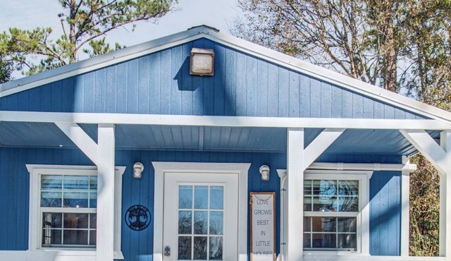 Tiny Homes on River w/dock, fire pit & game room