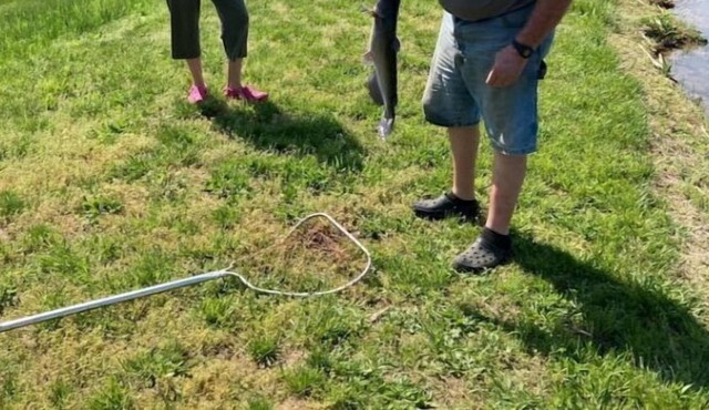 Tiny House #7 – One bedroom cabin near wineries, caves, hiking & floating!