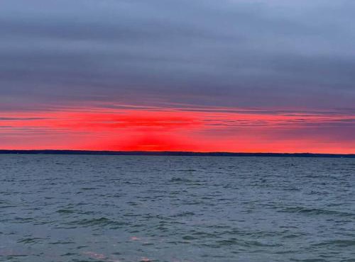Tiny House at Piney point