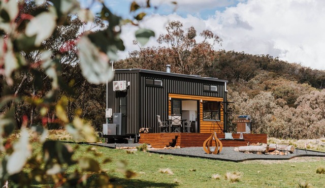 Tiny House at Wildnest Wilderness - TinyNest