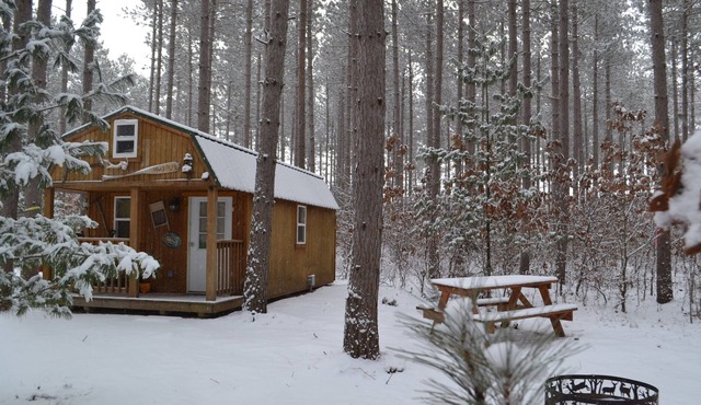 Tiny House/Cabin Close To The Dells Secluded 10 AC--the Hide Out Cabin...
