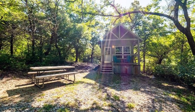 Tiny House Cabins
