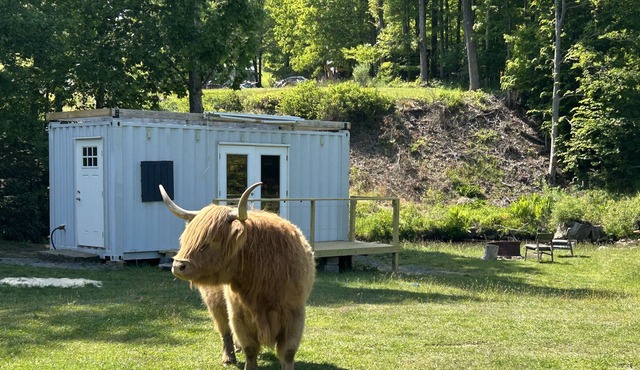 Tiny House Container @ Yorkie Acres Farm