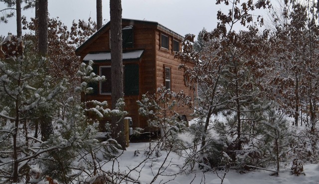 Tiny House-Cozy Log Cabin Tucked in the Tall Pines! Near Devil's Lake N Dells