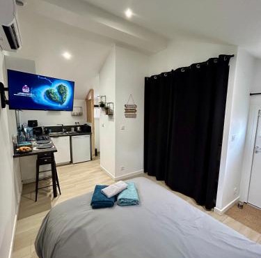 Tiny house de charme toute équipée