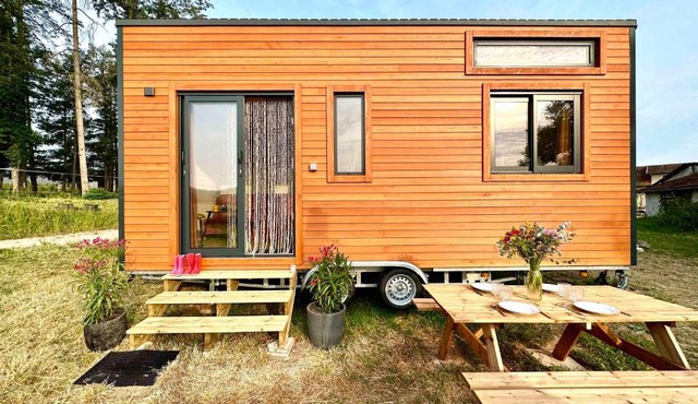 Tiny House et chevaux