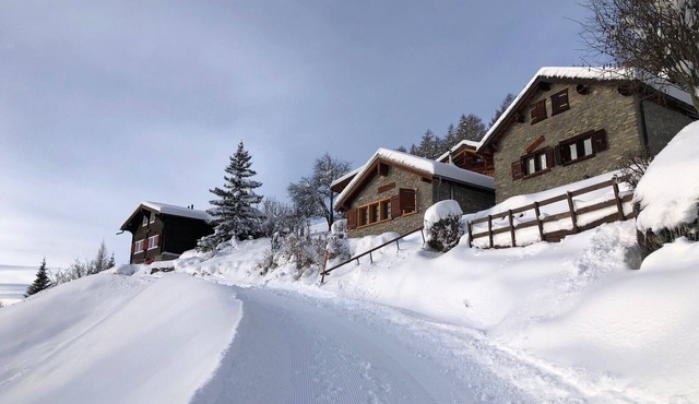 Tiny House facing the Alps - Ski in and out