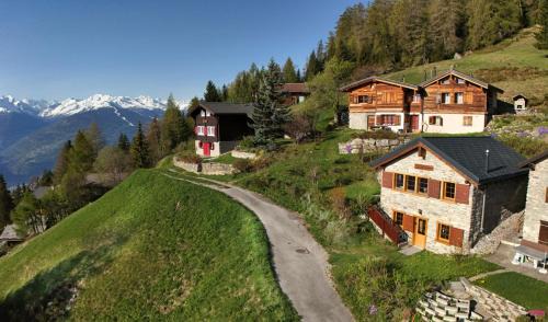 Tiny House facing the Alps - Ski in, Ski out
