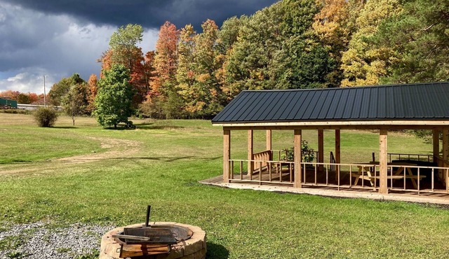 Tiny house Free wood, pet-friendly Mins from Cook’s & Allegheny National Forest!