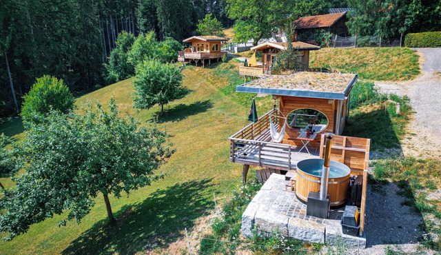 Tiny House Gallowayblick in Reut
