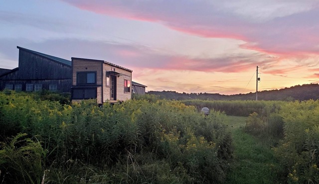 Tiny House in a peaceful meadow near Cooperstown