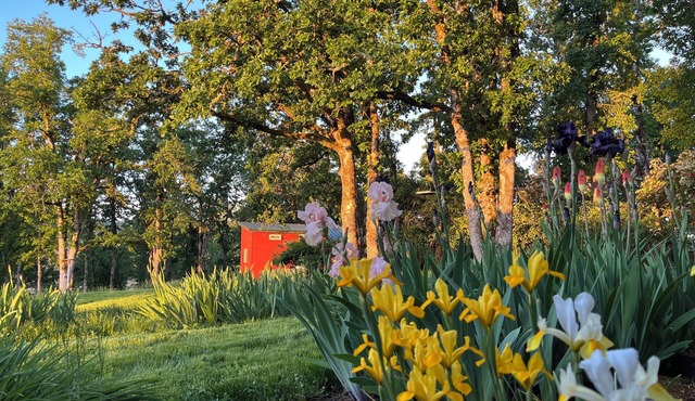 Tiny House in a Quiet Oak Grove