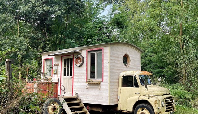 Tiny house in the forest: Camionettli Enchantee for relaxing moments in nature!