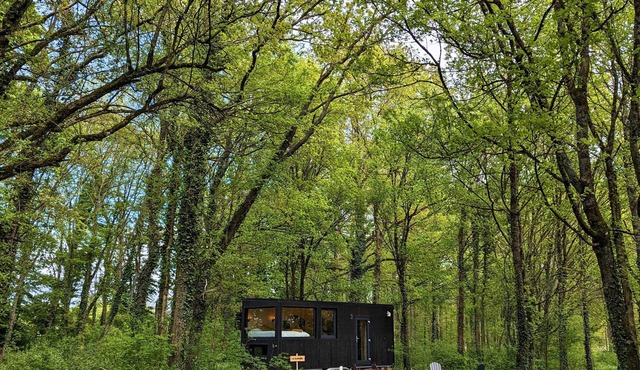Tiny House La Clairière Au Cœur de la Forêt !