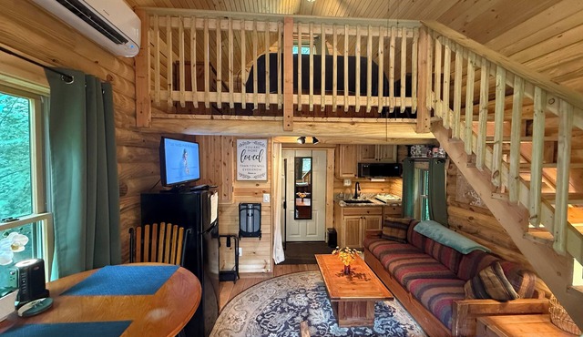 Tiny House/Log Cabin in beautiful wooded urban setting