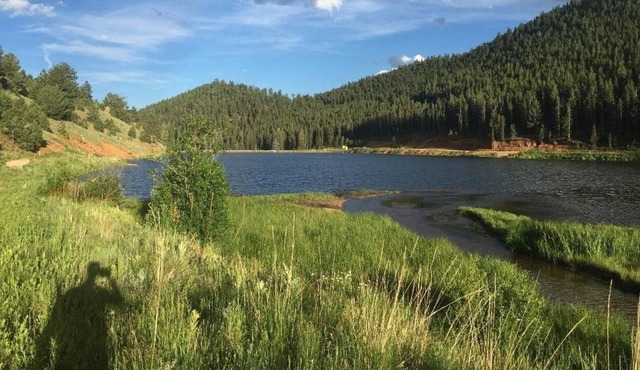 Tiny house Near Lake and a Creek right behind the house