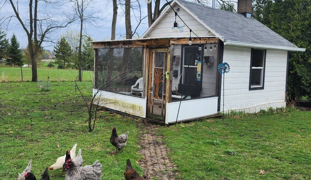 Tiny House on Century Farmstead