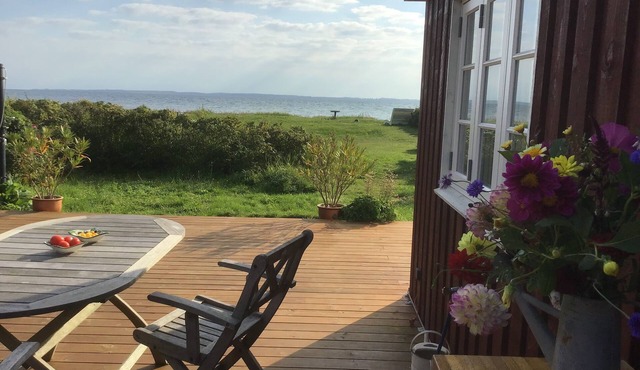 Tiny House on the Beach