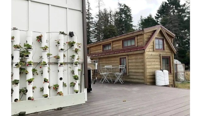 Tiny House Organic Farm Stay