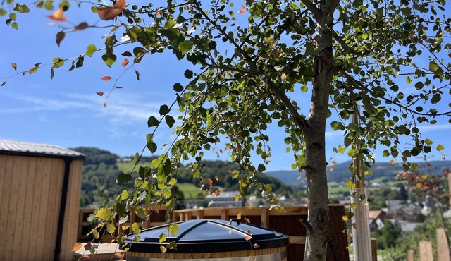 Tiny House Orion, Nordic bath - Le Domaine des Constellations, Alsace