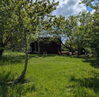 Tiny House Overlooking Nature