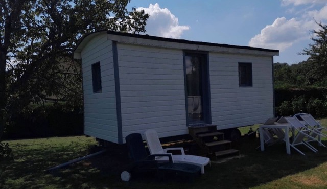 Tiny house with swimming pool