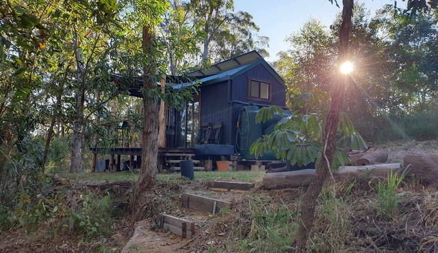 Tiny in The Treesn- Cute, Spacious Tiny House set privately amongst the trees.n