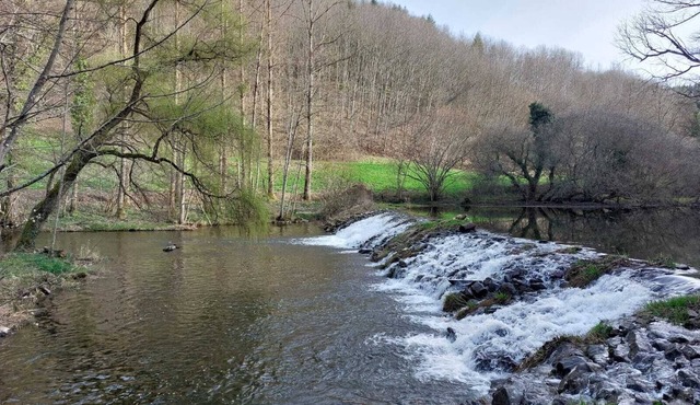 Tiny Moulin de Serre