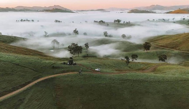 Tiny Mowgli Summary: