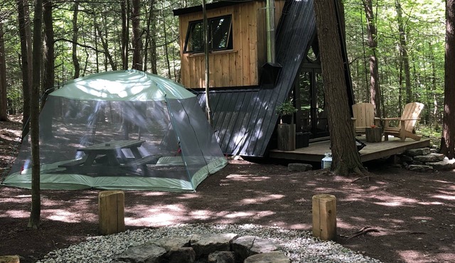 Tiny off-grid A-frame cabin nestled in nature!