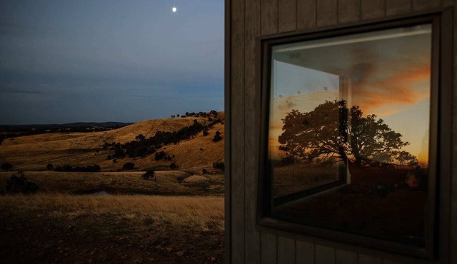 Tiny Pip Summary: Tin