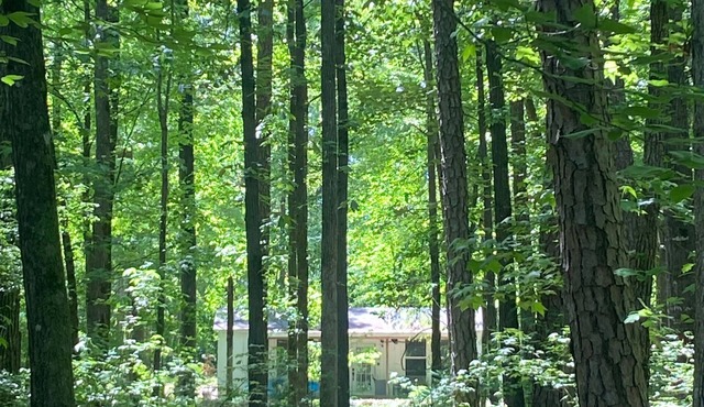 Tiny Retreat with boat dock, Lake Hartwell ,GA