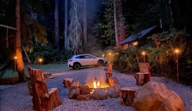 Tiny Safari themed cabin for 2 with private fire pit & BBQ