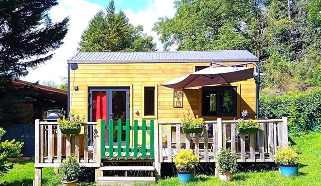 TINY SOMNIFLORE - WASIGNY