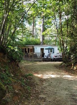 Tiny Sweet Home
