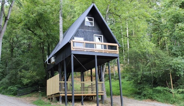 Tiny Treehouse Escape with Wi-Fi, Modern Amenities, BBQ Deck + Mountain Views