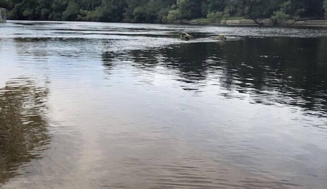 Tiny Twig @ Lynch Camp Inn