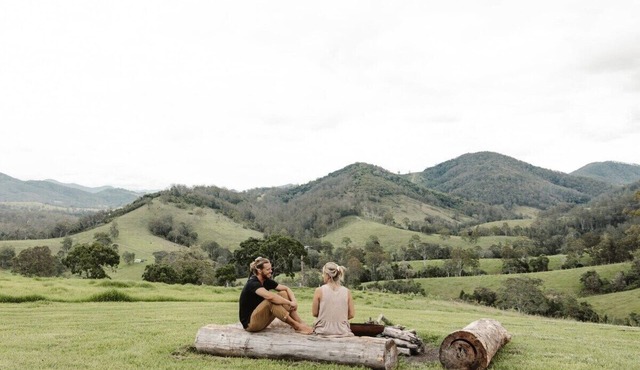 Tiny Zoe Summary: Nes