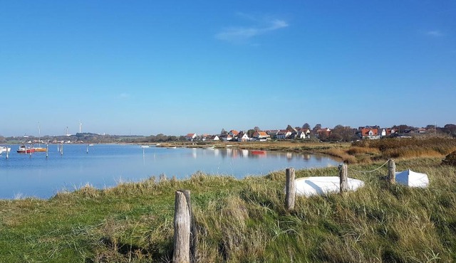 Tinyhouse Thorøhuse