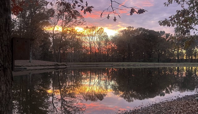 TinyLakeEscape in Fayette County with hot tub