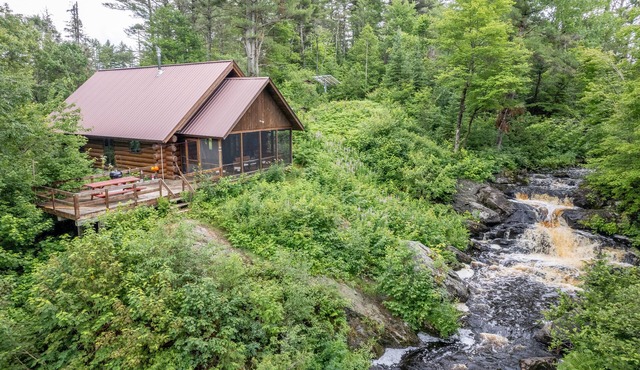 Tioga Falls Cabin: A Spring Retreat: Waterfalls, Wildlife, and Wilderness!