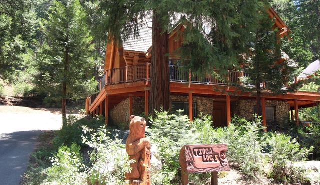 Tioga Logs