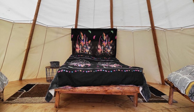 Tipi Dans la Clairière au Bord du Lac Du Der