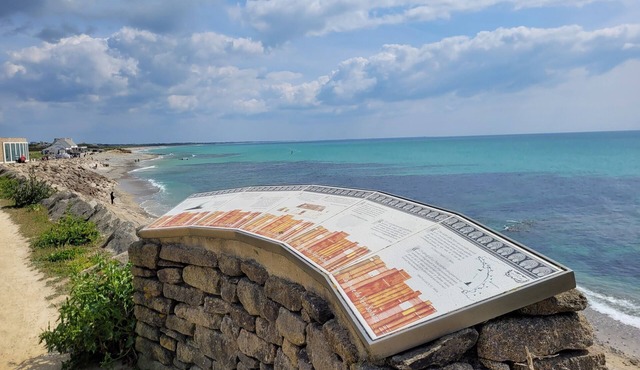 Tipoz'Immo - House An Eol nearby beach- large garden- near surf spot