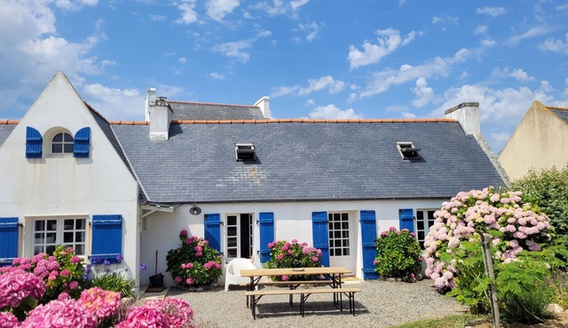 Tipoz'Immo Maison Bleue Walking distance to the beach Surf spot garden